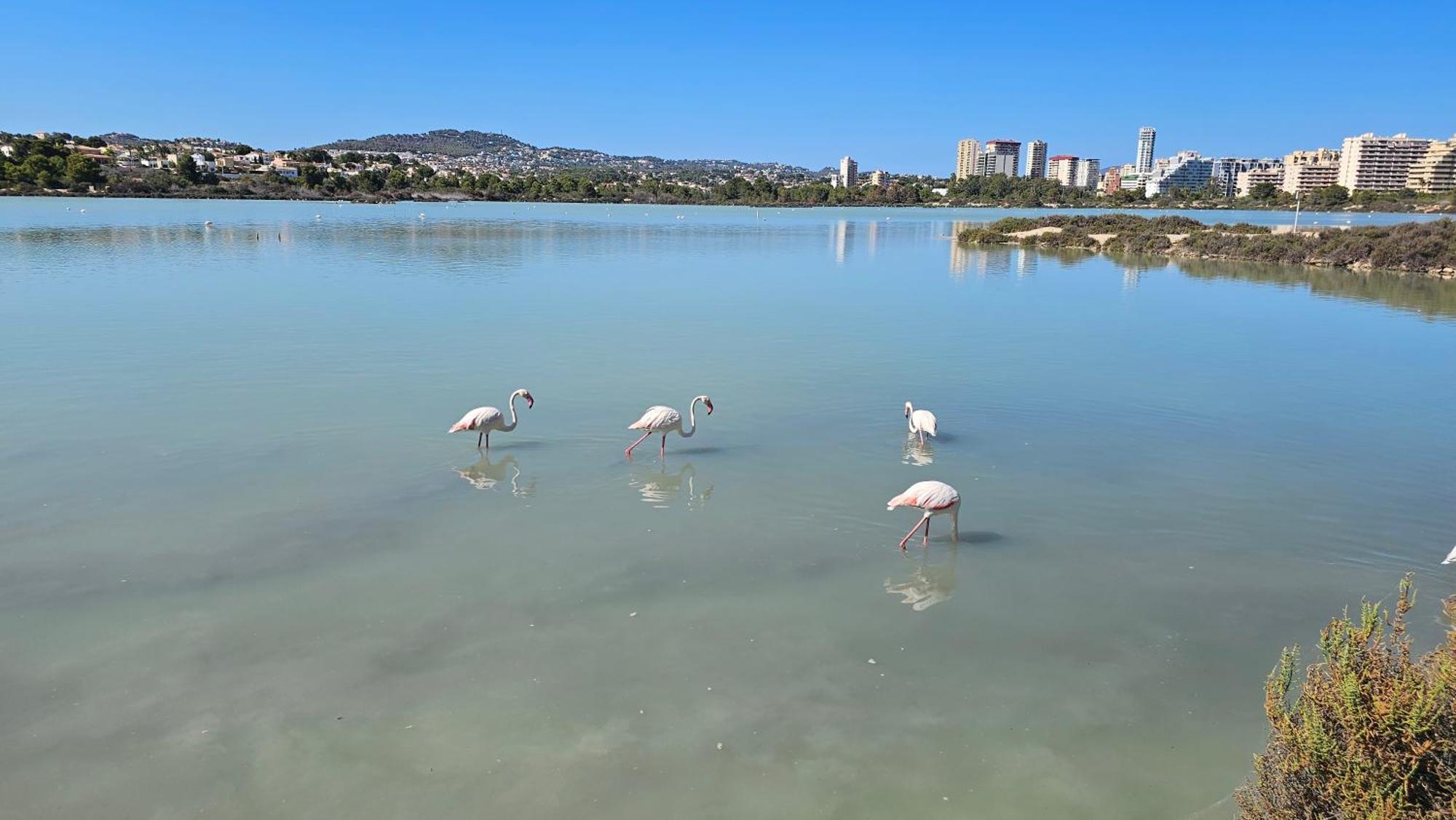 Apartamentos Esmeralda 111B Calpe Buitenkant foto